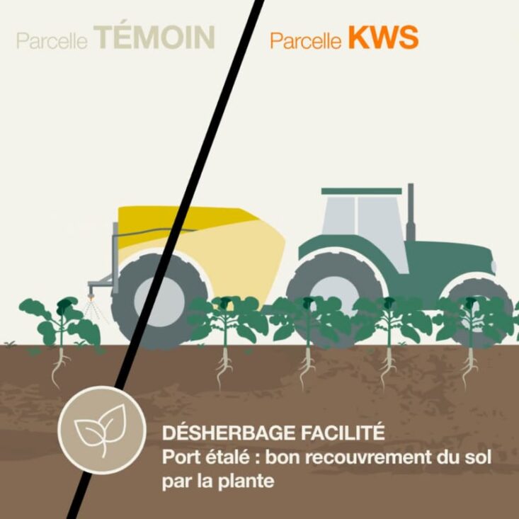 Qu'estce que le Motion Design ? Définition et usages WePixel